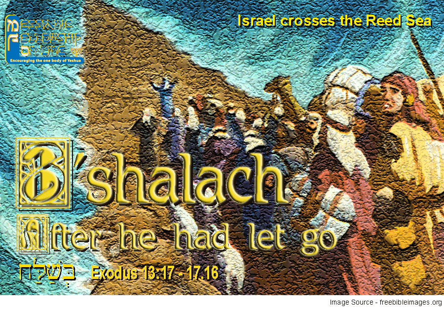 16-B'shalach-(Intro-Image)