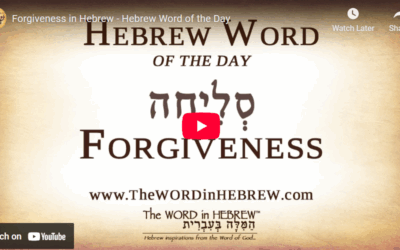 Hebrew Word Study – Forgiveness