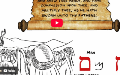 Hebrew Word Study – Compassion