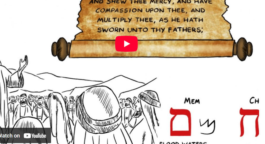 Hebrew Word Study – Compassion