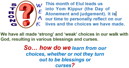 Question-47-©-MEA-2020-2021-Natan