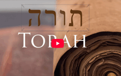 Hebrew Word Study “Torah”