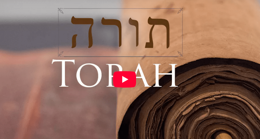 Hebrew Word Study “Torah”