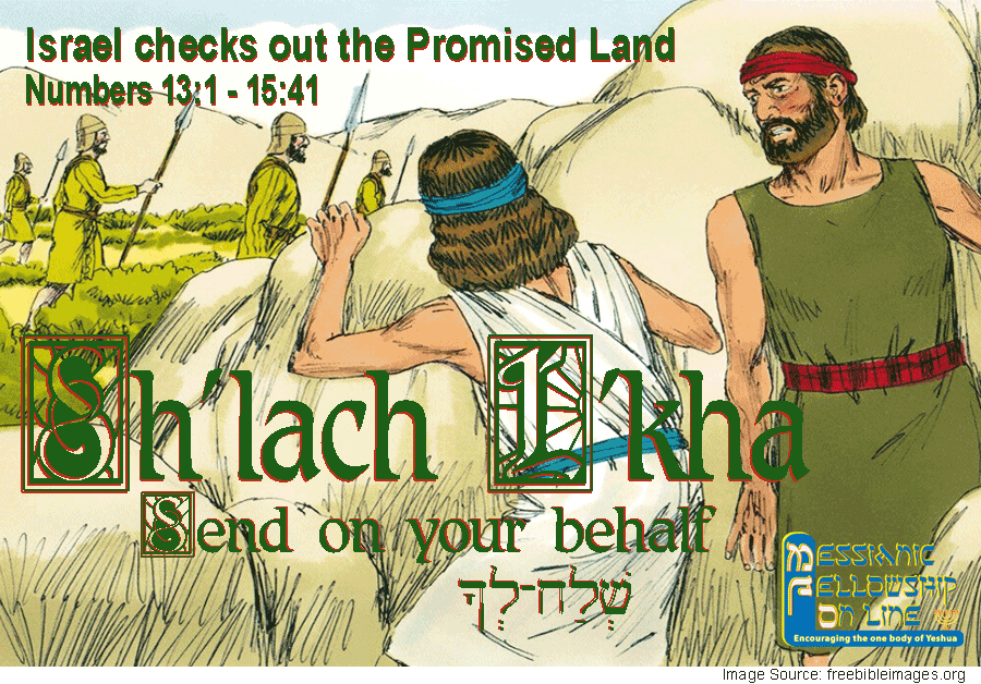 Sh'lach L'kha Shelach Lecha 37
