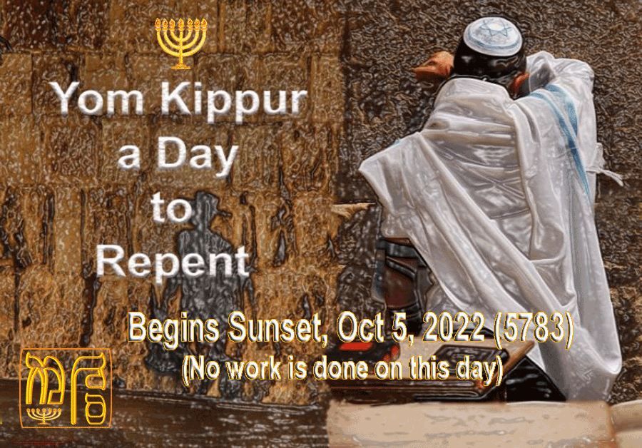 Parsha 50: Ki Tavo (When You Come