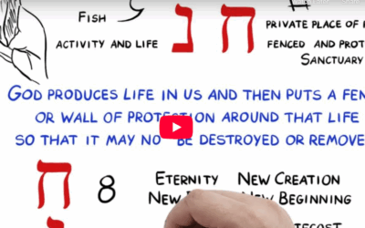 Meaning of “Grace” in ancient Hebrew