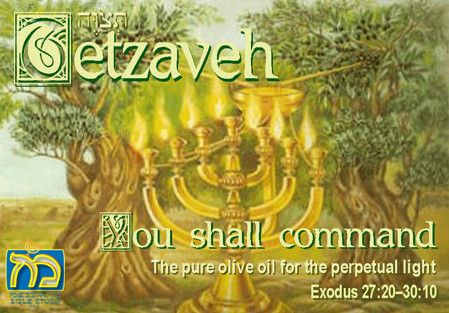 Tetzaveh 20