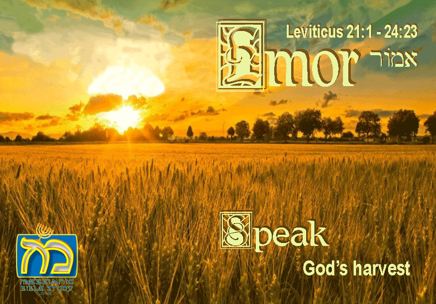 Emor Speak Parsha 21 Leviticus