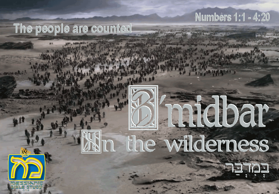 Numbers (Ba'midbar)