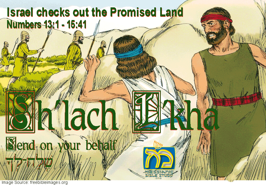 Sh'lach L'kha Shelach Lecha 37