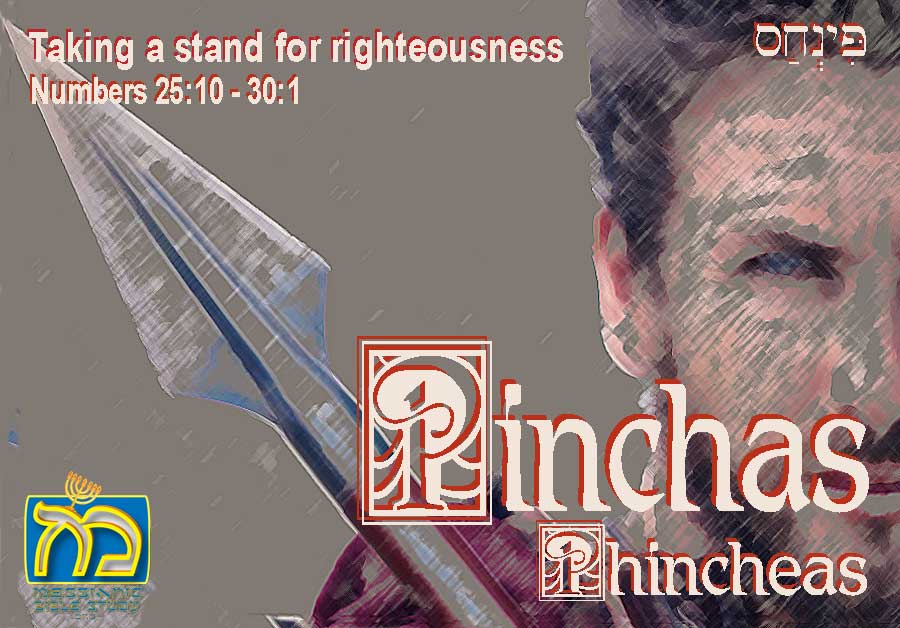 Pinchas 41