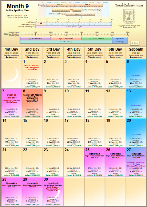 Torah Portions