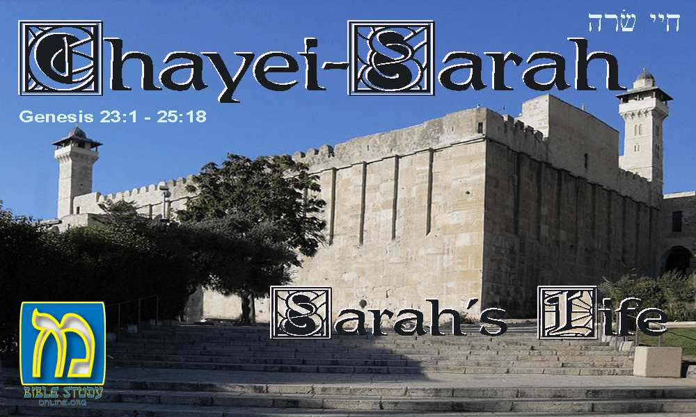 Vayera Messianic Fellowship Online