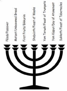 menorah feasts
